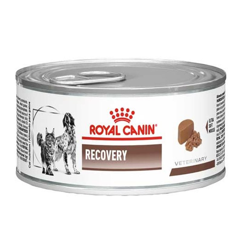 Royal Canin Recovery Perros y Gatos Lata 145 GR-min